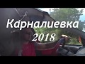 Рыбалка с. Карналиевка Одесская обл. 2018