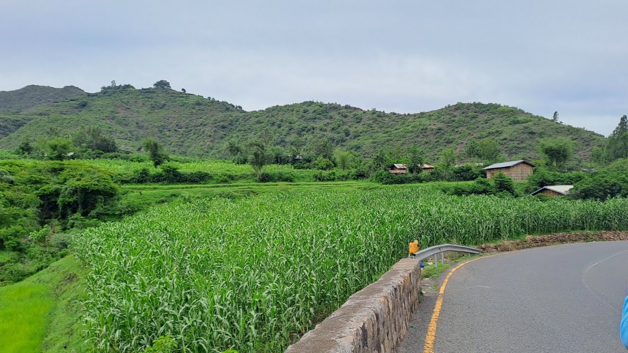 እንድሪስ ሀርቡ 😭😭😭