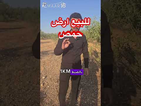 أرض 18 دونم مزروعة لوز للبيع في الهزة شرق حمص واجهة 16 متر سعر الدونم 235 فقط