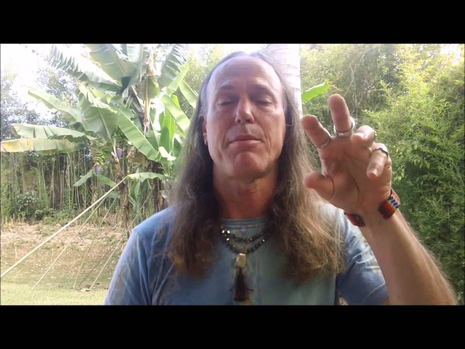 zodiac signs in hindi Astrology and Yoga for Health! April 2-9, Costa Rica!