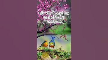 {وَمَا تَوْفِيقِي إِلَّا بِاللَّهِ ۚ عَلَيْهِ تَوَكَّلْتُ وَإِلَيْهِ أُنِيبُ} [هود من الآية:88]