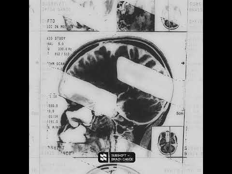 Subshift - Brain Dance