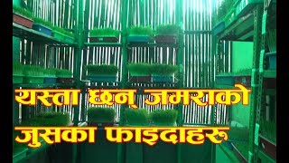 यस्ता छन् जमराको जुसका फाइदाहरु || Jamara Juice