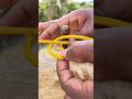 Amazing Knot! Which 100% of each work works perfectly #bowline #highlights #hitchknot