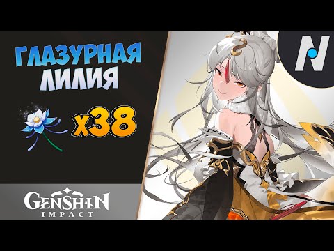 ГЛАЗУРНАЯ ЛИЛИЯ - Сбор Всех. ЛУЧШИЙ Маршрут | Genshin Impact