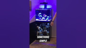 Unrealistic Expectations Are... Not Good