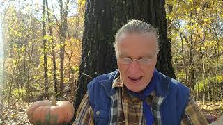 ACIM Lesson 317 with Will E. Nov. 13, A Course In Miracles Workbook Year Journey