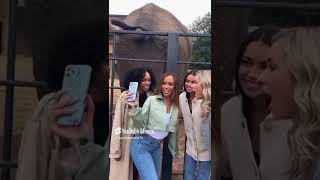 Epic Zoo Fail Elephant Surprise Attack! 😱 1