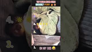 Thank You For Watching, Thank You For Liking,I Wish You Happiness.