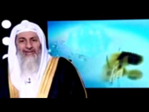 هل الكحل يفطر الشيخ مصطفى العدوي