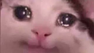 Someone Copy My Video...link In Pinned