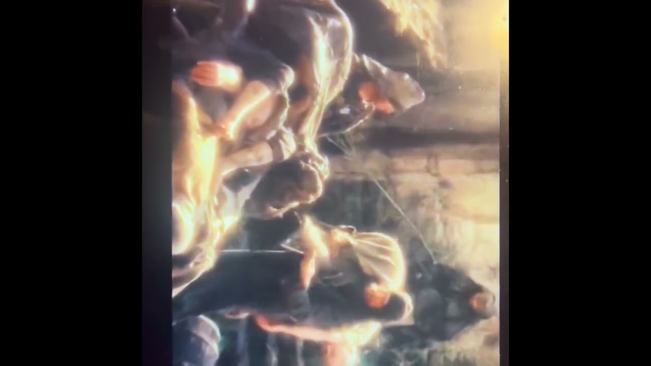 Forum weapon: I’m not dead!