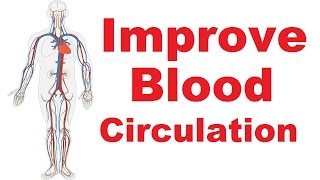 11 Easiest Ways To Improve Blood Circulation In Body