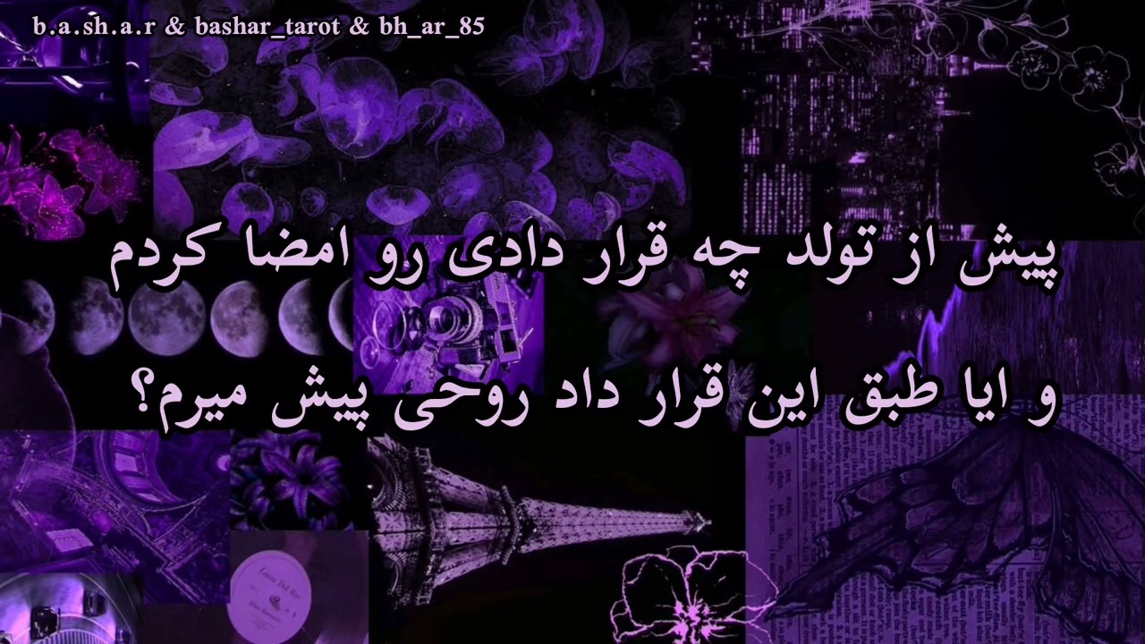 وقتی خواستم بیام روی زمین انتخواب کردم که چه رسالتی رو دنبال کنم؟ 🪷🐉