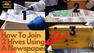 15- How to Join Two Beehives using Newspaper Method?