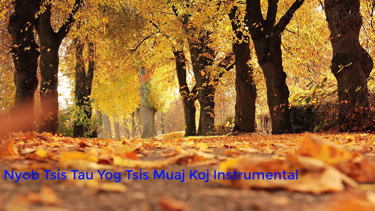 Nyob Tsis Tau Yog Tsis Muaj Koj (Instrumental/Karaoke)