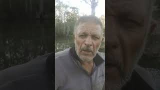 Shelby's Good Deeds intro