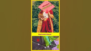 यूट्यूब शॉट YouTube shorts YouTube Short Video #ViralVideo#Shorts#यूट्यूबशॉट