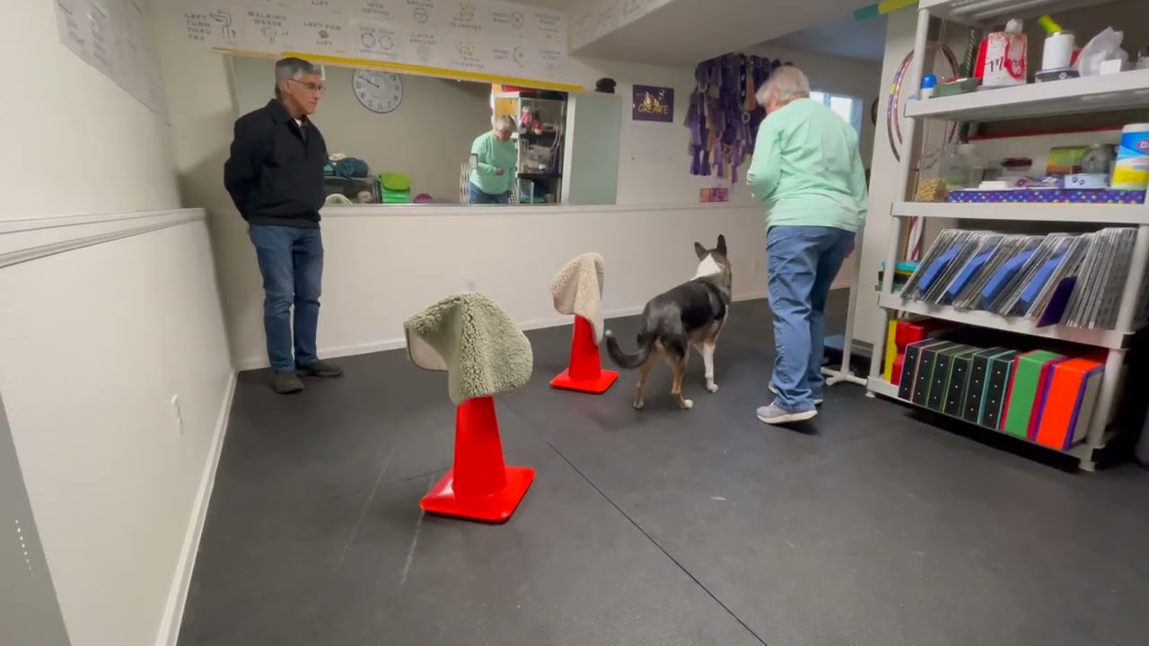 December Training Challenge 2025