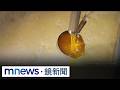 毒油風暴與食安爭議延燒