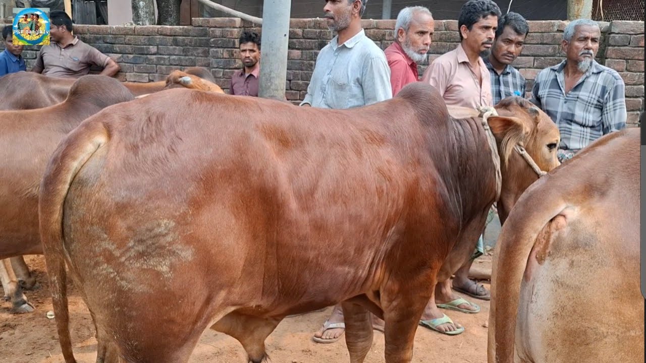 @ শনিবার ৭ মার্চ