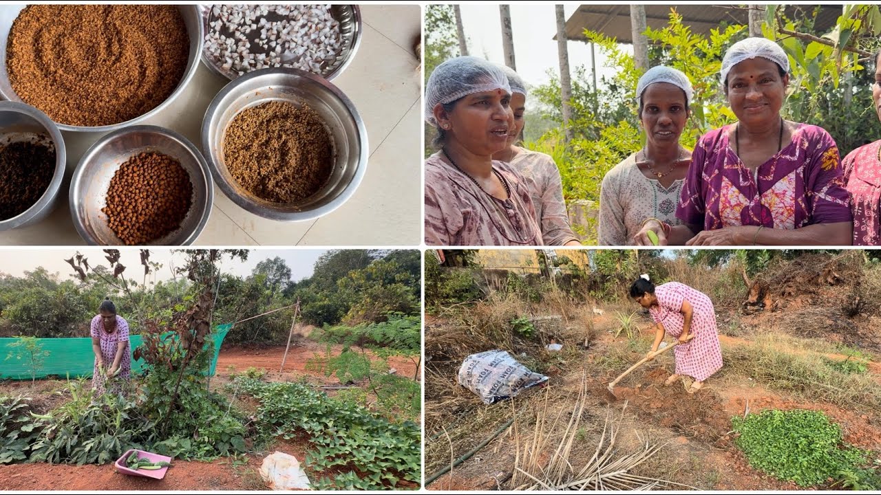 Kedasog kudu ari maltha 😋|| Posa Mann da tuntan malthe ❤️