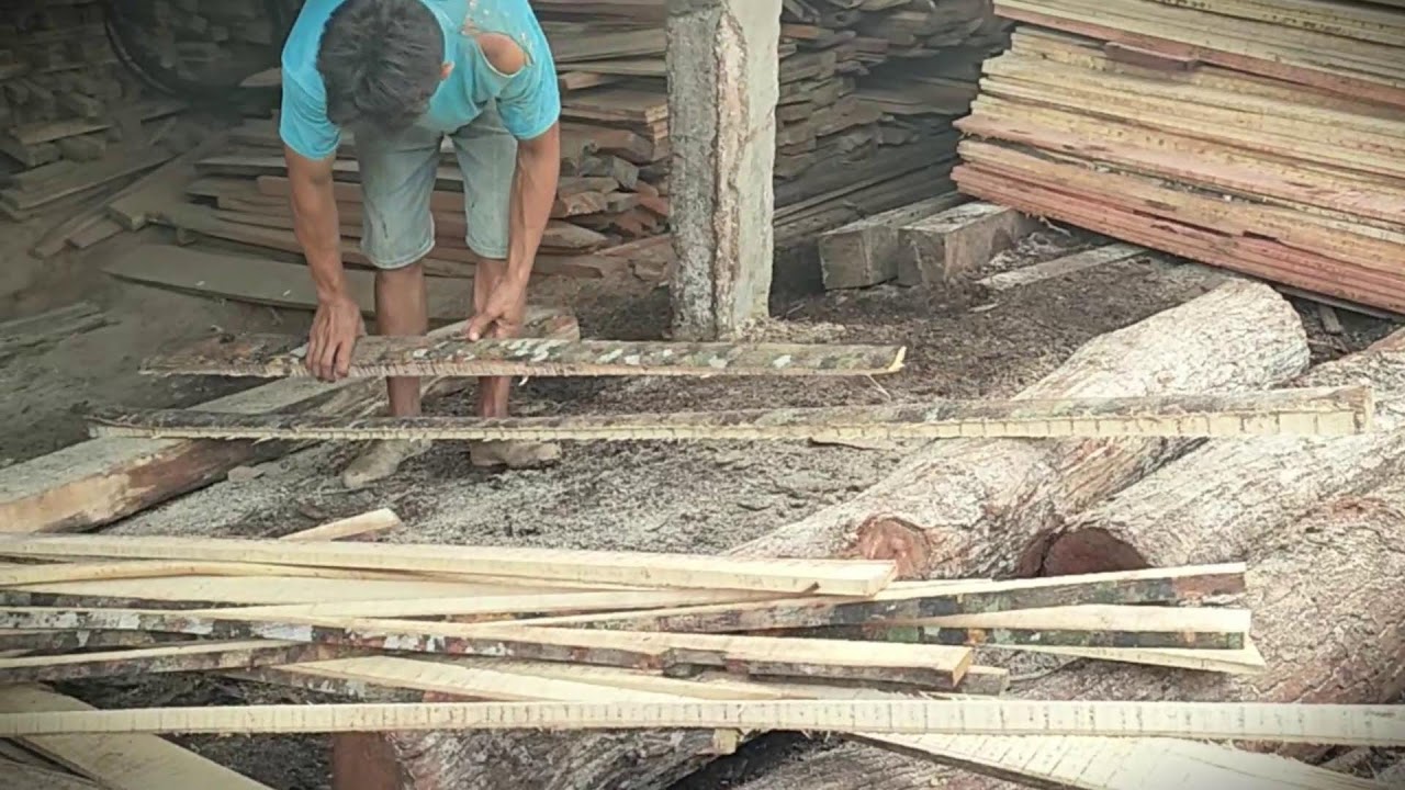 Simple Technique: Sun-Drying Wood for Quality Furniture _FarmersLife _Shorts