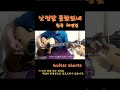 난 정말 몰랐었네 기타연주 Shorts
