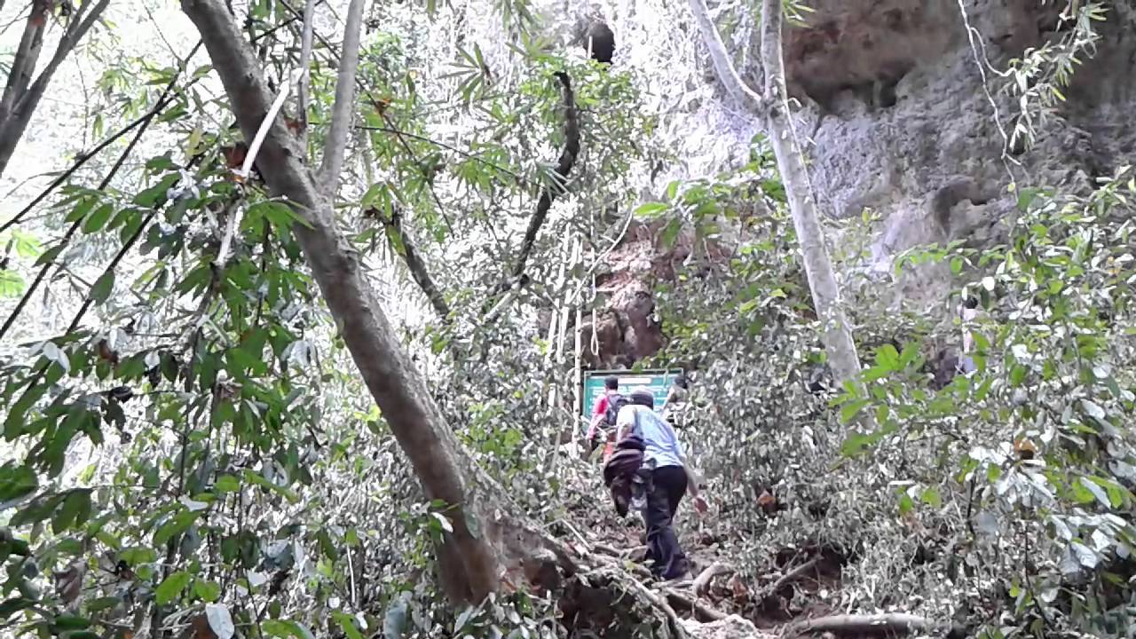wisata banyuwangi