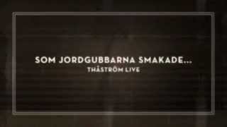 THÅSTRÖM - SOM JORDGUBBARNA SMAKADE...(TEASER)