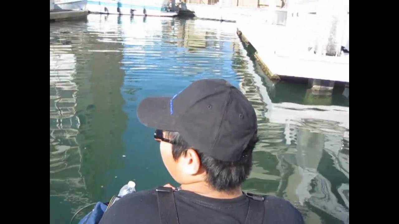 NextGen Bassin: Spotty Rampage