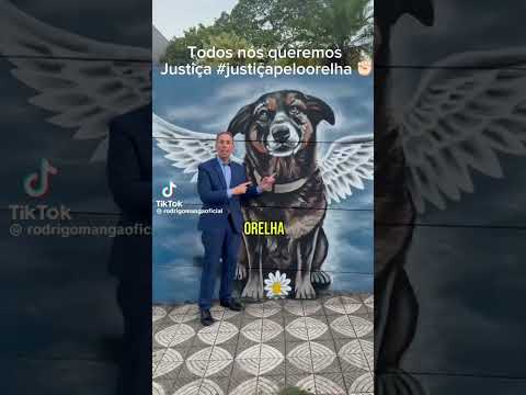 Justiça pelo orelha ✊🏻#videoaleatorio#justicapeloorelha#maustratosécrime#amovcs#punição#vingança