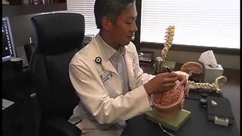 What is Brain Mapping Video