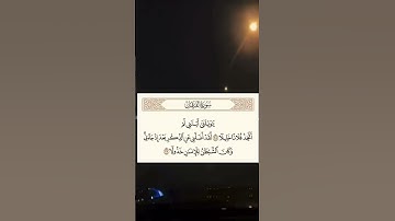سوره الفرقان ٢٨ | ٢٩