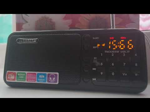 Приём Международного Радио Китая днём 6 ноября 2021 года, радиоприёмник Haoning