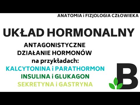 Wideo: Różnica Między Glukagonem A Glikogenem