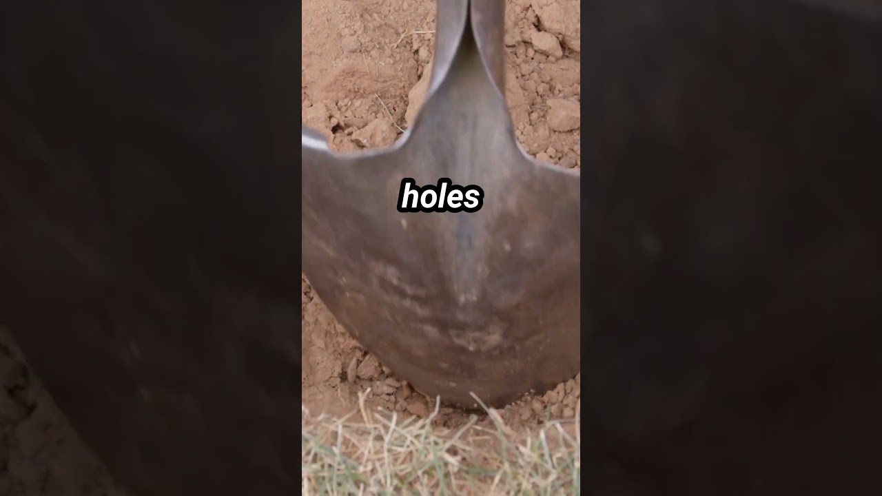 Land Evaluation: Checking Rocks and Hard Layers