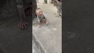 Baby Monkey Makes A Big Deal Out Of Cat Tantrum