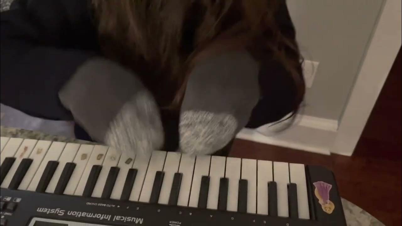 Bubbles our dog YouTube