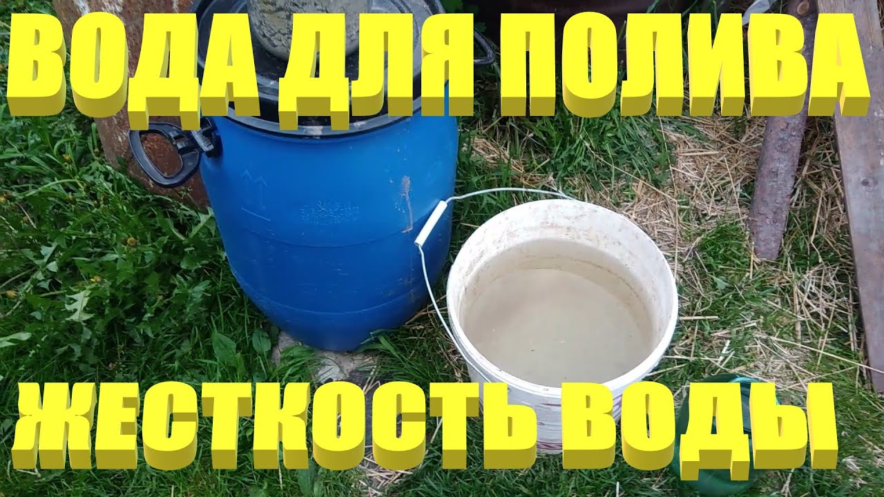 Вода для полива.Жесткая вода для полива растений