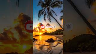Chill Music – Guitar &amp; Bass | Relaxing Soft Beats for Music for Study, Work &amp; Focus #chillmusic