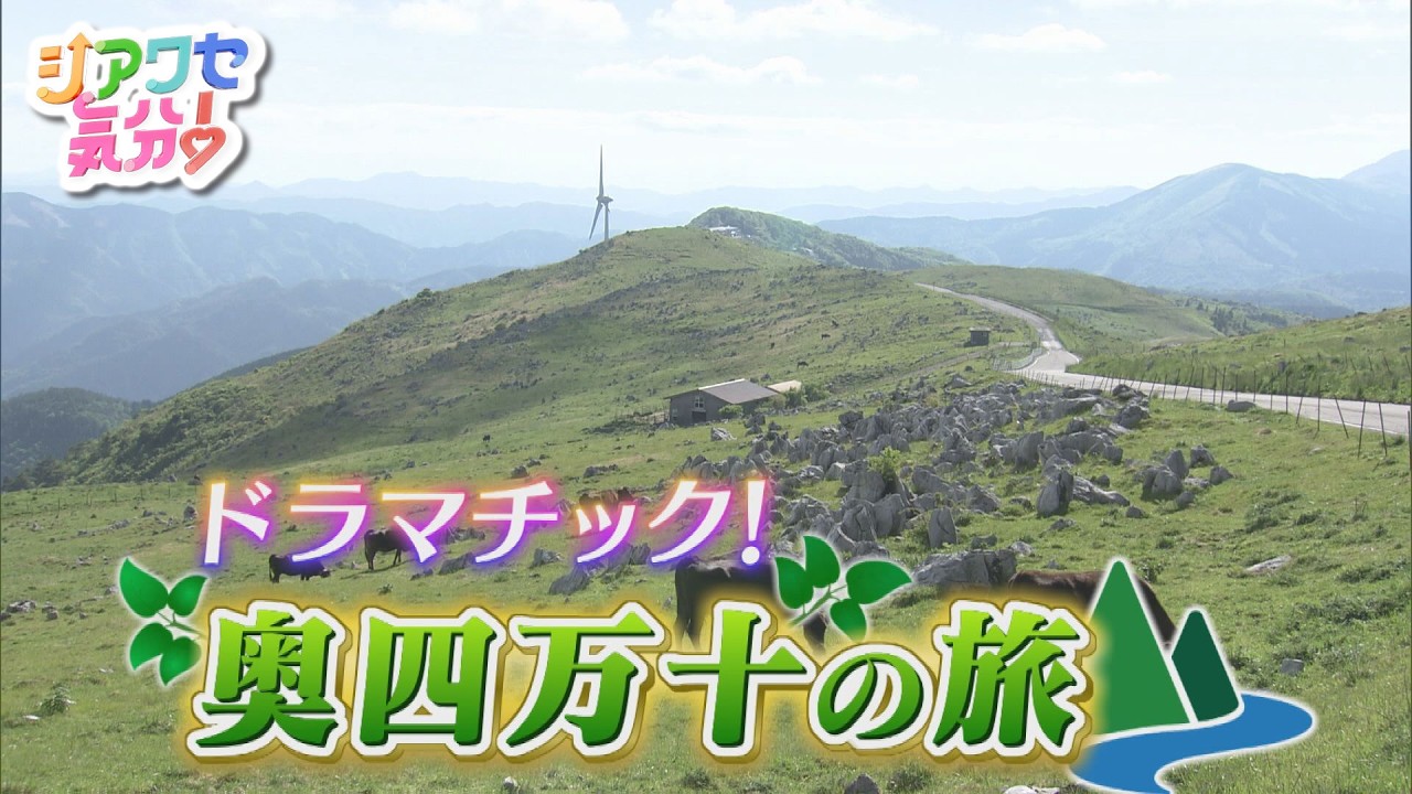 2026年6月6日放送 ドラマチックな奥四万十の旅！ | バックナンバー
