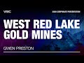 West Red Lake Gold Mines Corporate Presentation | VRIC 2026