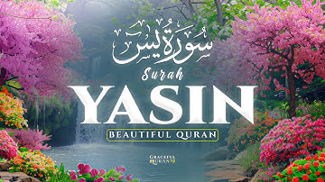 Quran for Emotional Healing, Anxiety Relief & Comfort | Surah Yaseen سورة يس #quranforsleep