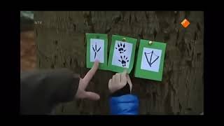 Koekeloere  Sporen In De Sneeuw zonder Intro En Enge Stukjes