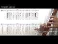 The Last Rose of Summer / Native American Flute / Fingering Chart