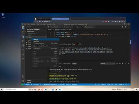Express Static Middleware