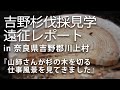 吉野杉が育つ山を見学してきました／吉野杉伐採見学遠征レポート