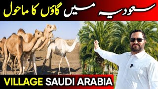 Village Life In Saudi Arabia | Saudi Arab Village Tour | Saudi Arab Gaon
