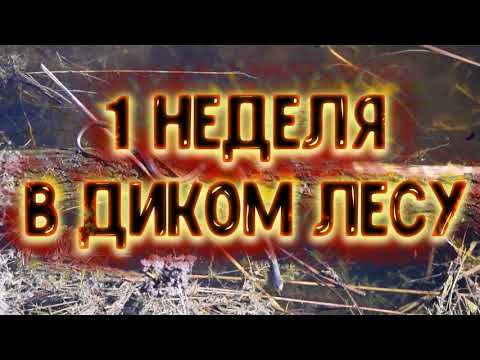 Выживание трейлер 1